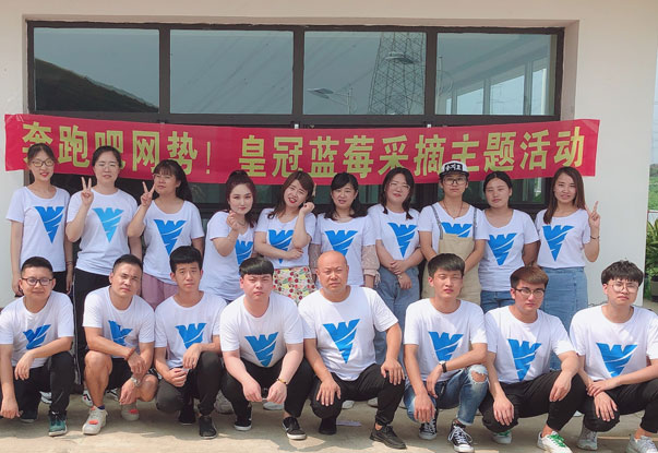 【奔跑吧網(wǎng)勢(shì)！】藍(lán)莓采摘主題團(tuán)建活動(dòng)